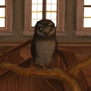 blog0747.jpg