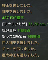 blog2019.jpg
